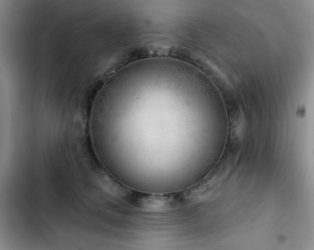 X0000102850661200808181418