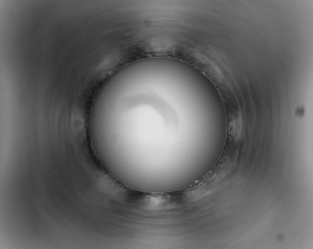 X0000102850662200808181419