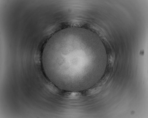 X0000102850663200808181419