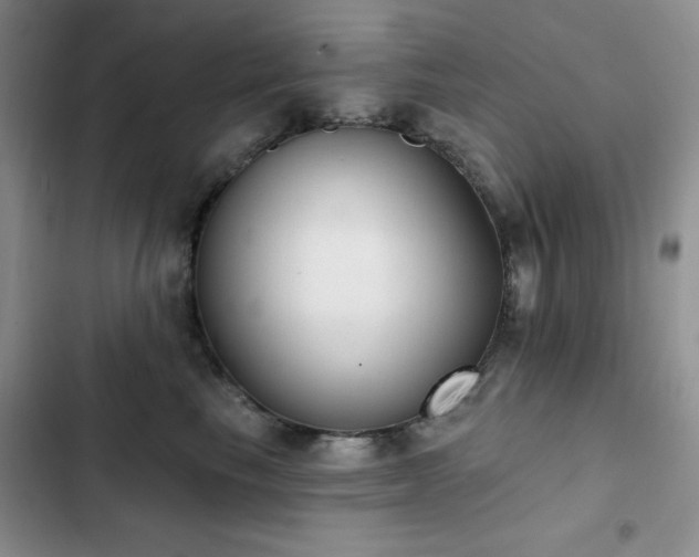 X0000102850665200808181419