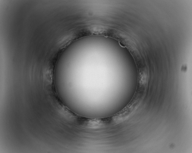 X0000102850666200808181419