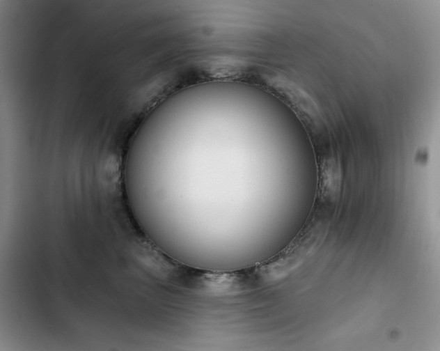 X0000102850667200808181419