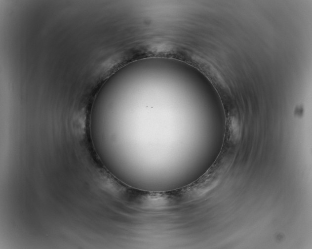 X0000102850668200808181419