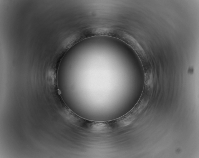 X0000102850669200808181419