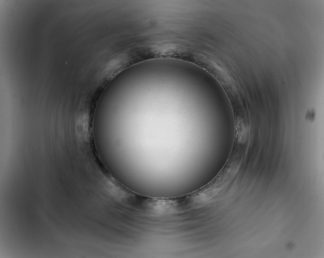 X0000102850670200808181419