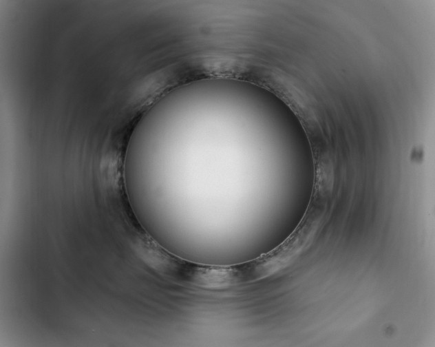 X0000102850671200808181419