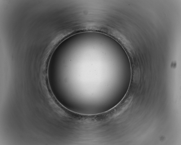 X0000102850673200808181418