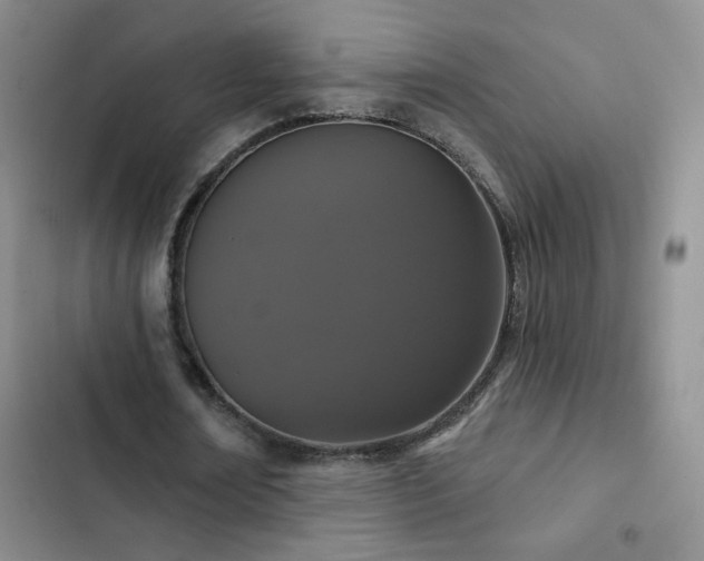 X0000102850674200808181418