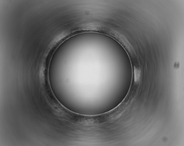 X0000102850675200808181418