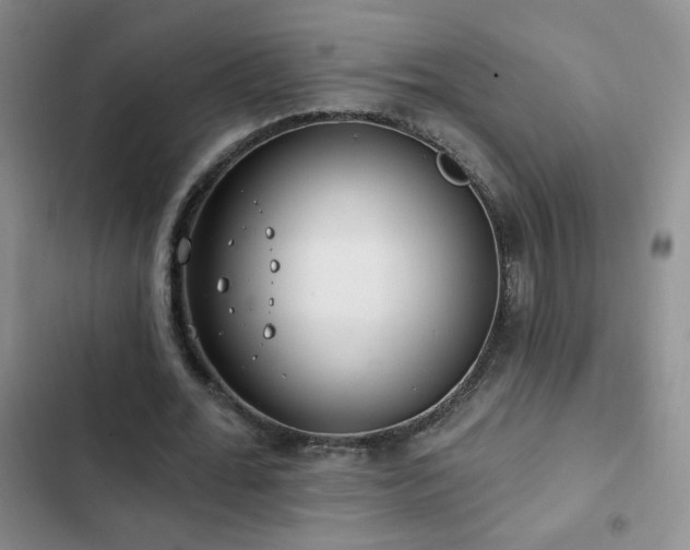 X0000102850676200808181418