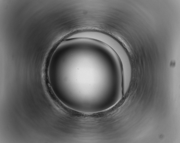 X0000102850677200808181418