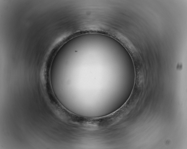 X0000102850680200808181418
