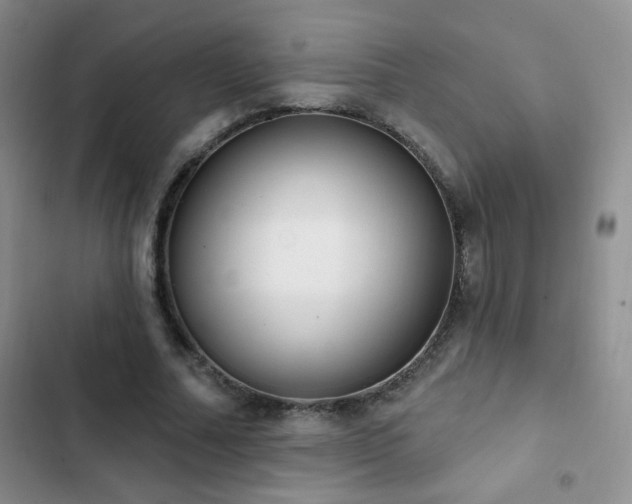 X0000102850682200808181418