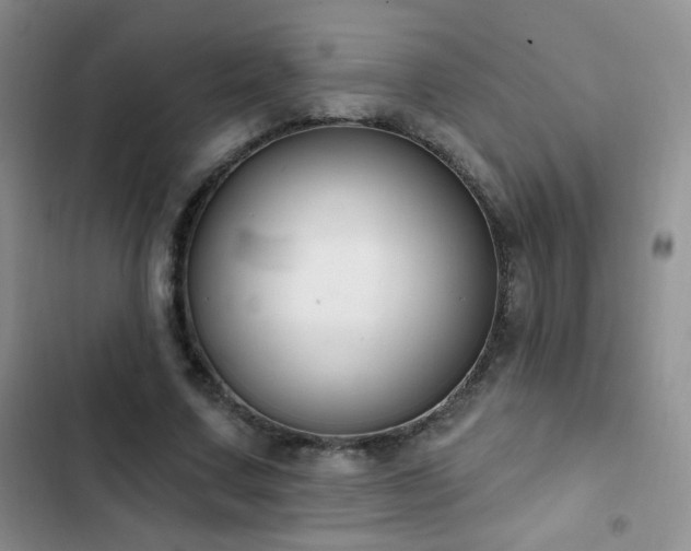 X0000102850683200808181418