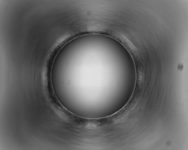 X0000102850684200808181418