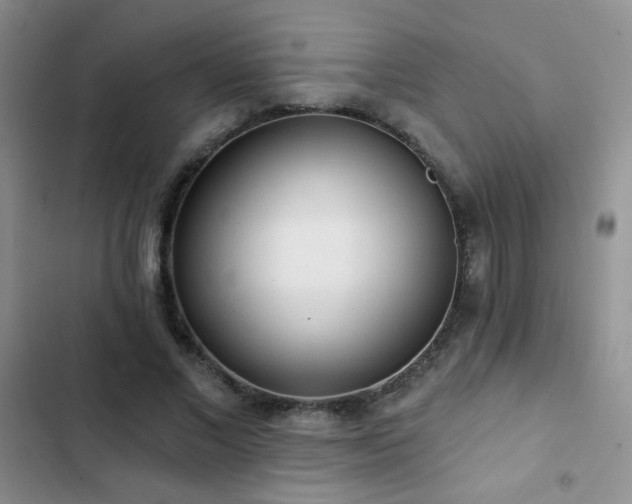 X0000102850685200808181418