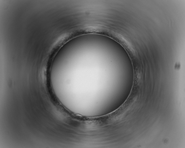 X0000102850686200808181418