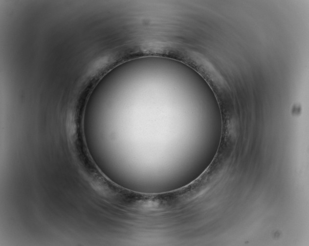 X0000102850687200808181418