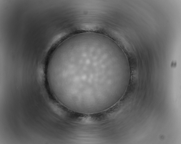 X0000102850688200808181418