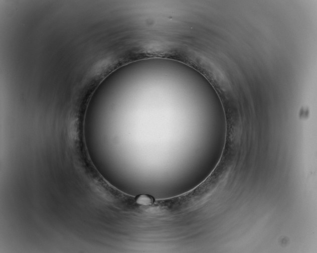 X0000102850689200808181418