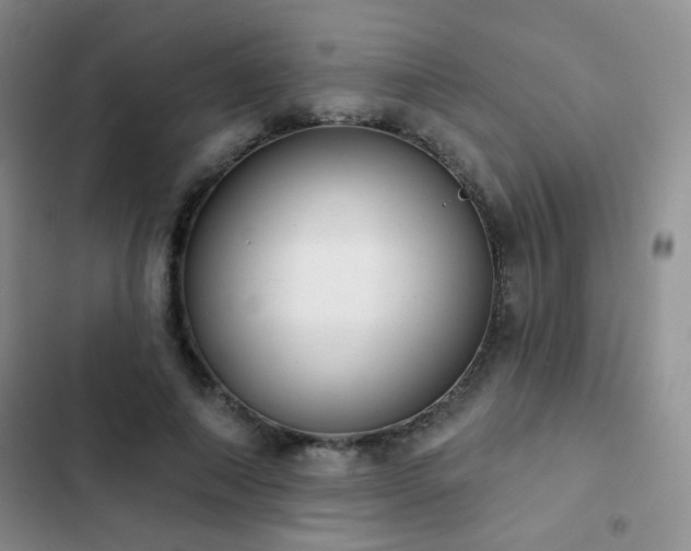 X0000102850690200808181418
