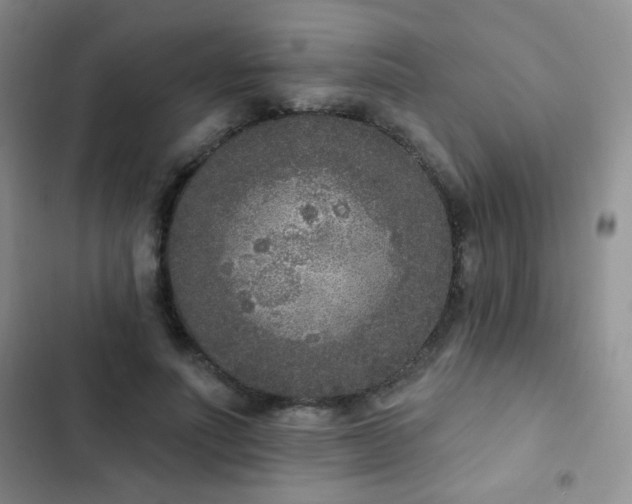 X0000102850691200808181418