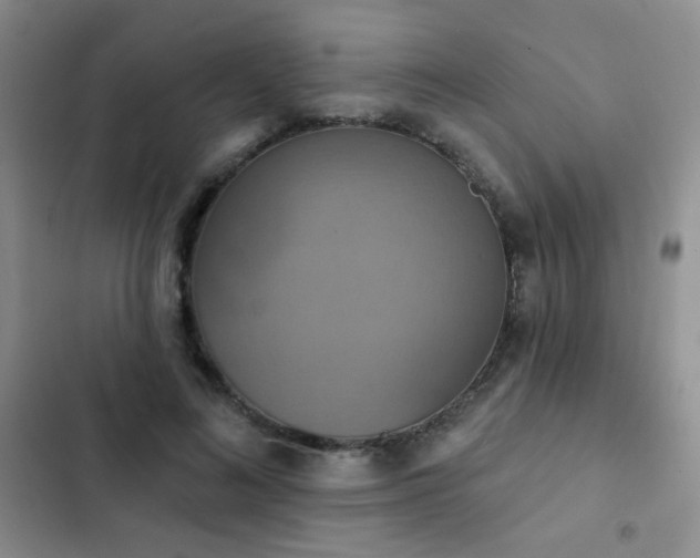 X0000102850692200808181418