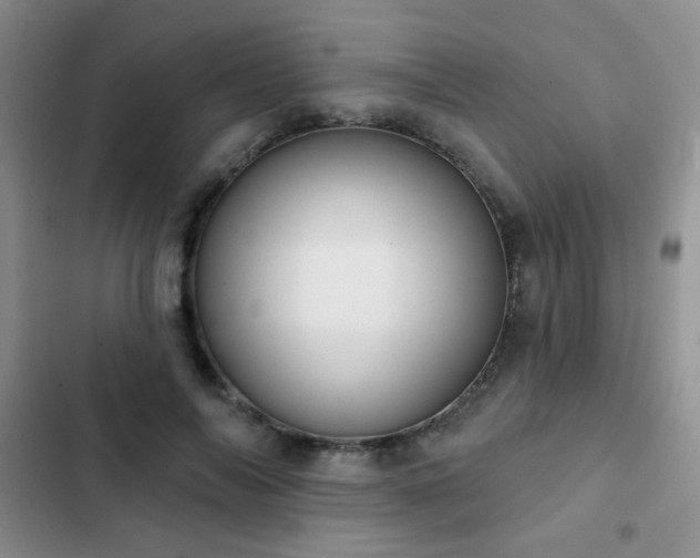 X0000102850694200808181418