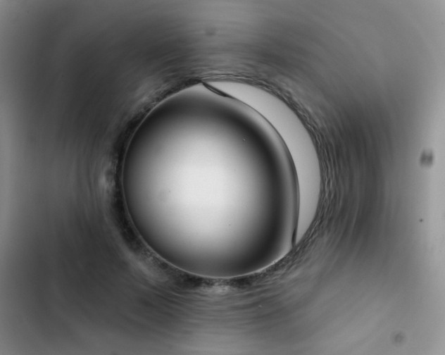 X0000102850695200808181418