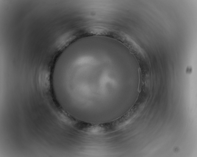 X0000102850696200808181418