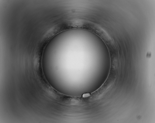 X0000102850697200808181418