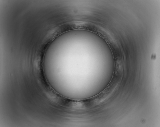 X0000102850698200808181418