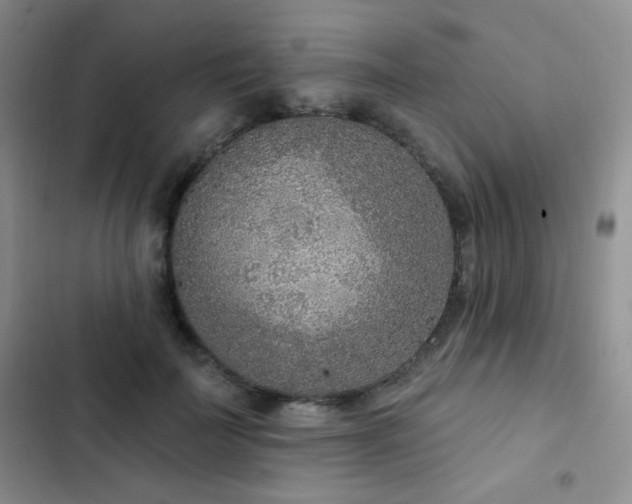 X0000102850699200808181418