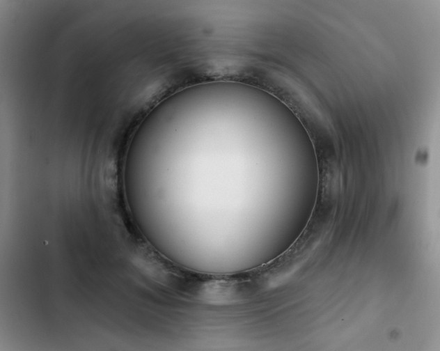X0000102850700200808181418