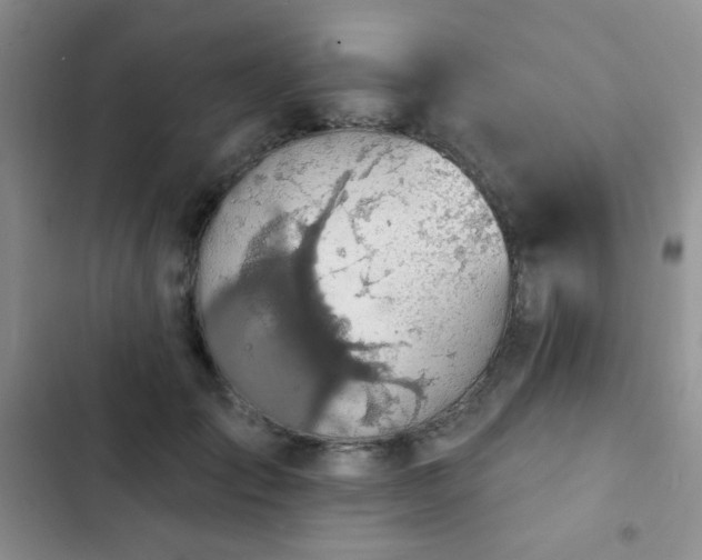 X0000102850701200808181418