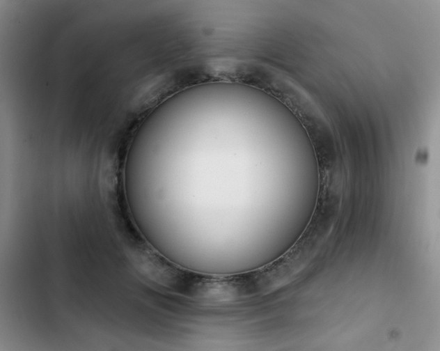 X0000102850702200808181418