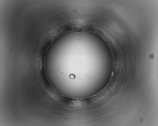 X0000102850703200808181418