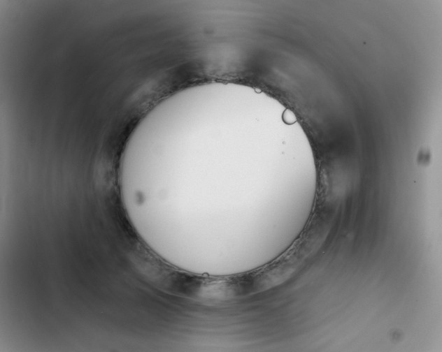 X0000102850705200808181418