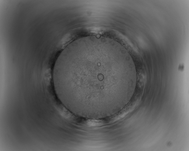X0000102850707200808181418