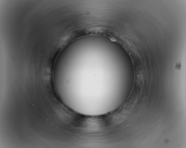 X0000102850708200808181418