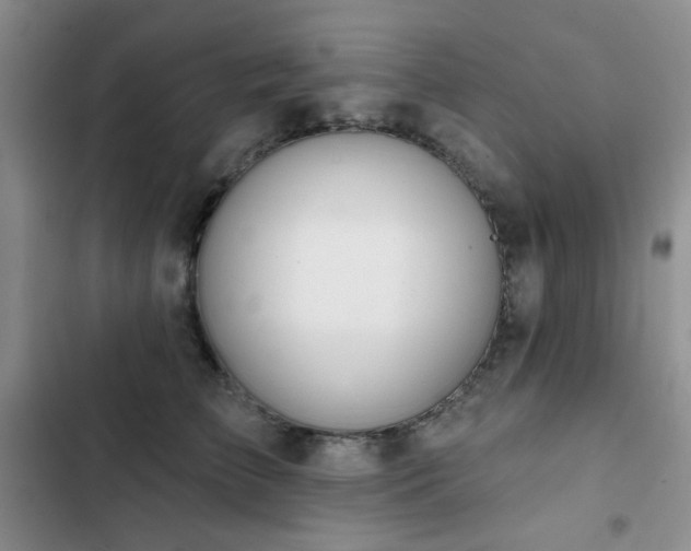 X0000102850709200808181417