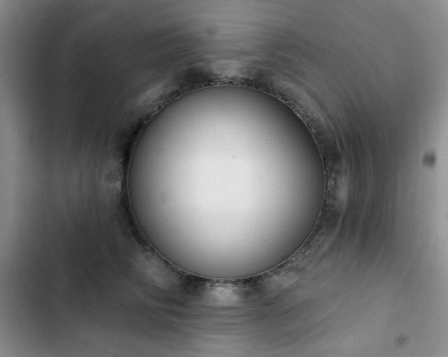 X0000102850710200808181417