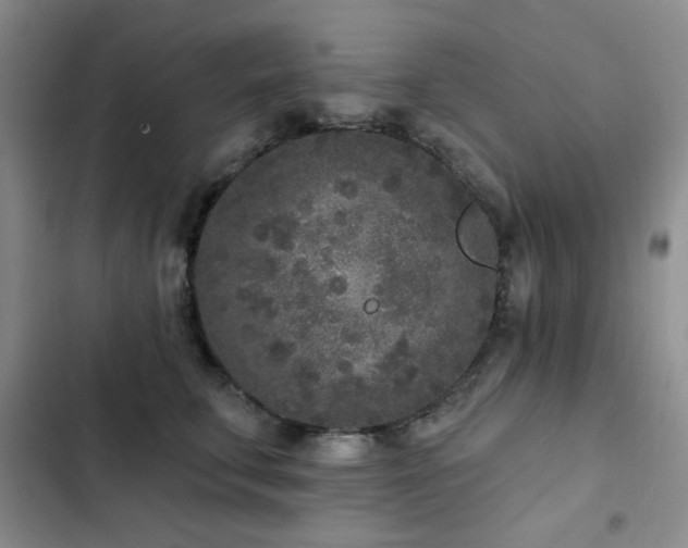 X0000102850711200808181417