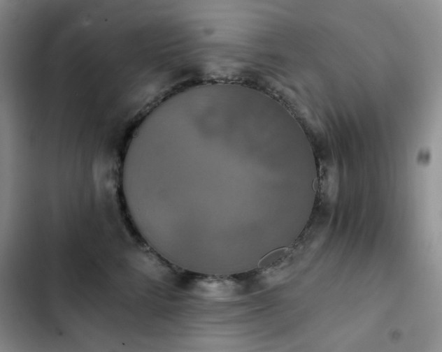 X0000102850712200808181417