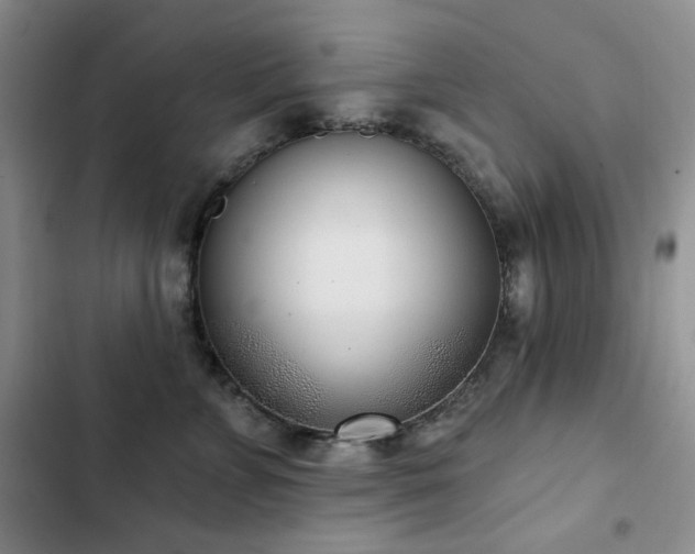 X0000102850715200808181417