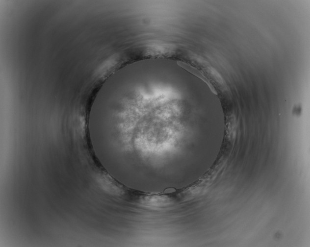 X0000102850716200808181417