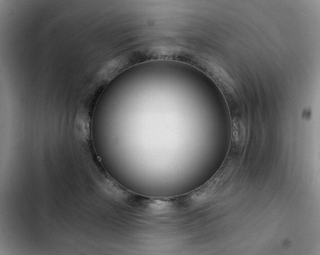 X0000102850718200808181417