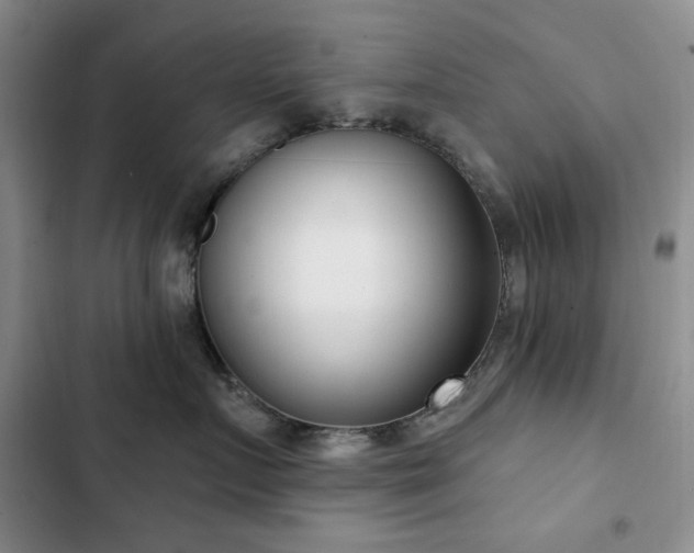 X0000102850719200808181417