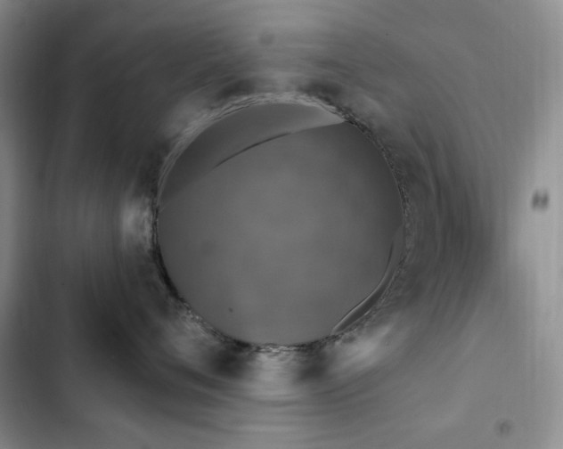 X0000102850720200808181417