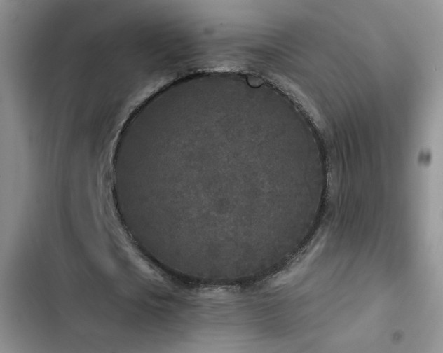 X0000102850721200808181417